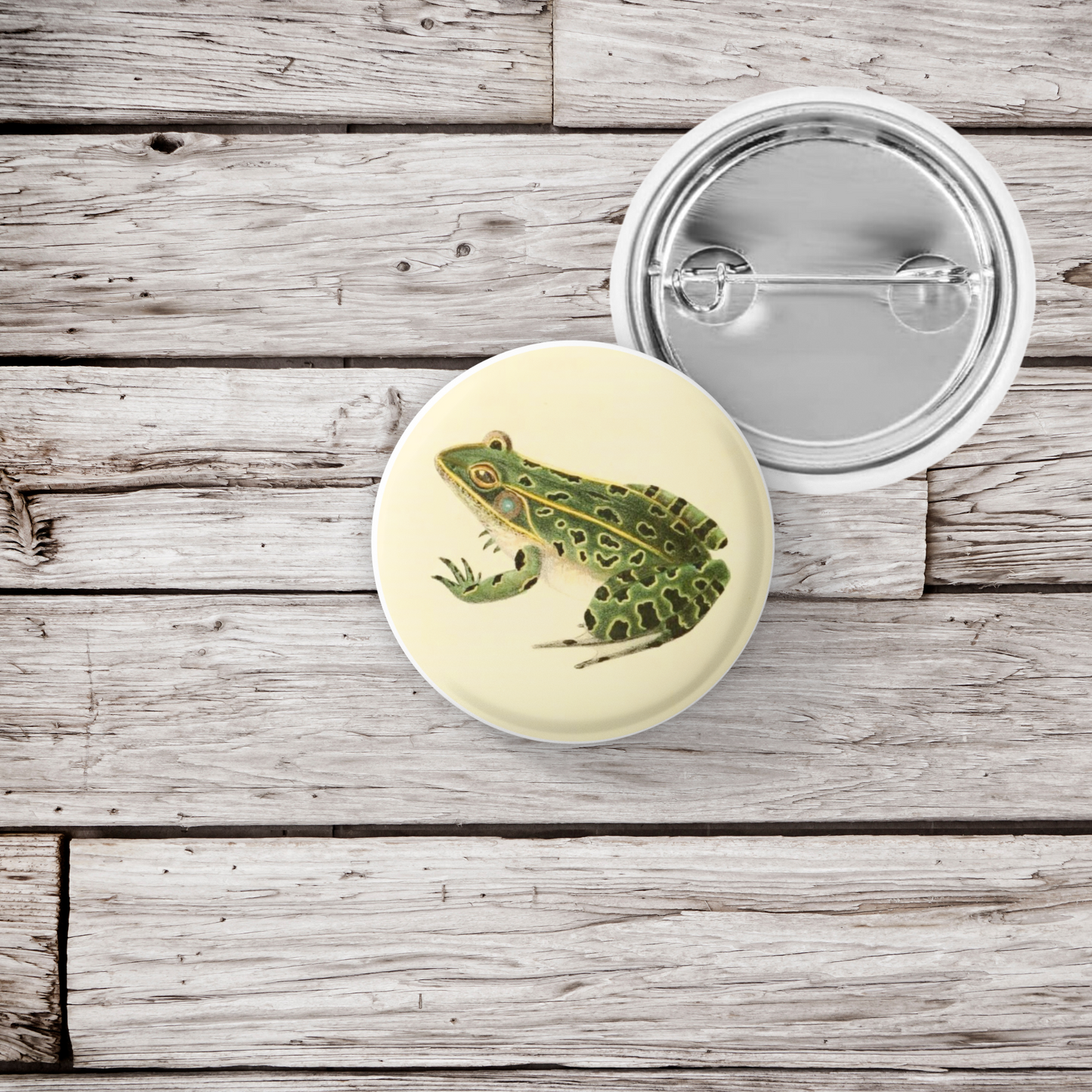 Leopard Frog Pin Back Button, Magnet, Keychain