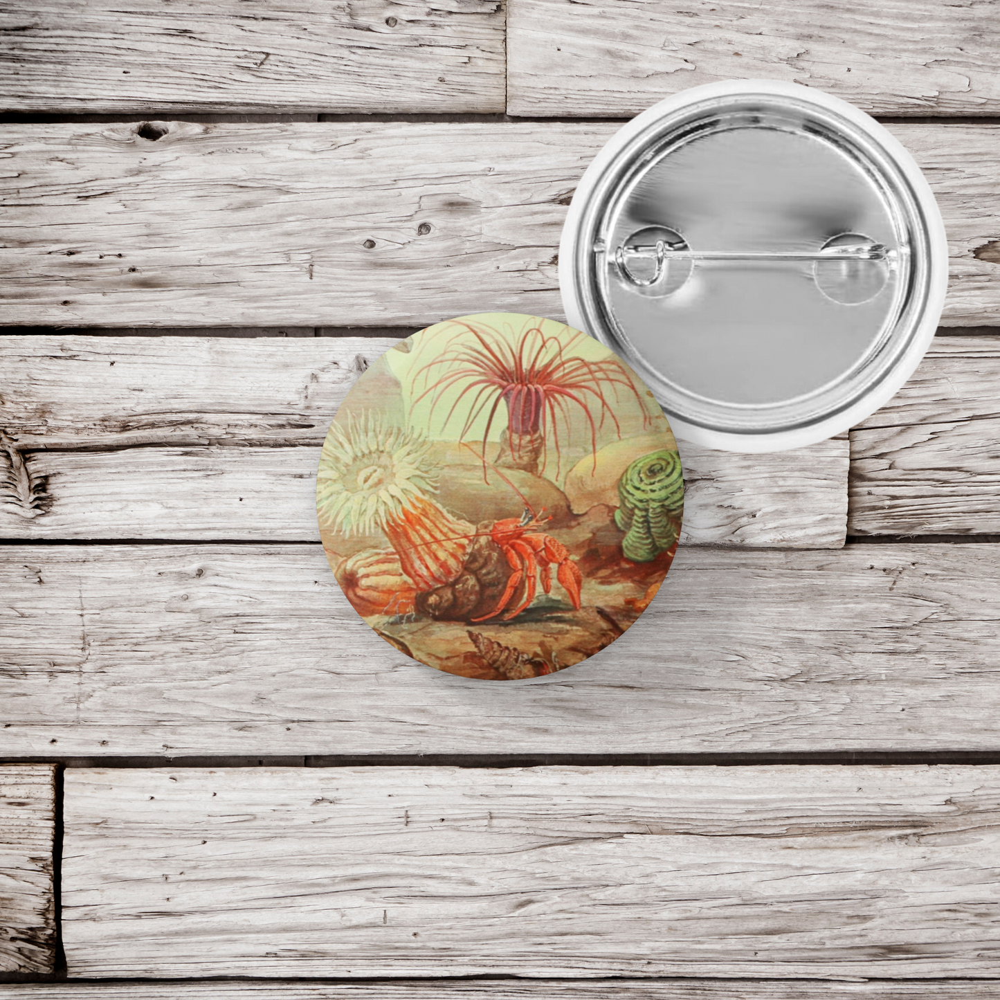 Hermit Crab Pin Back Button, Magnet, Keychain