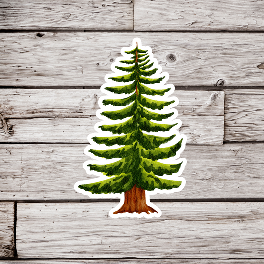 Pine Tree Sticker