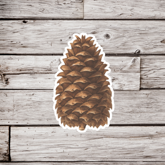 Pinecone Sticker