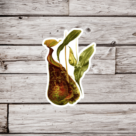 Pitcher Plant Sticker