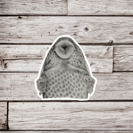 Plecostomus Mouth Sticker