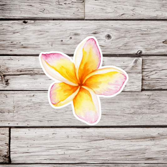 Plumeria Flower Sticker