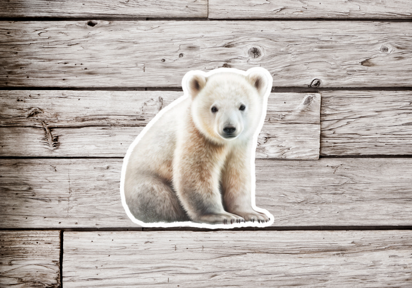 Polar Bear Cub Sticker