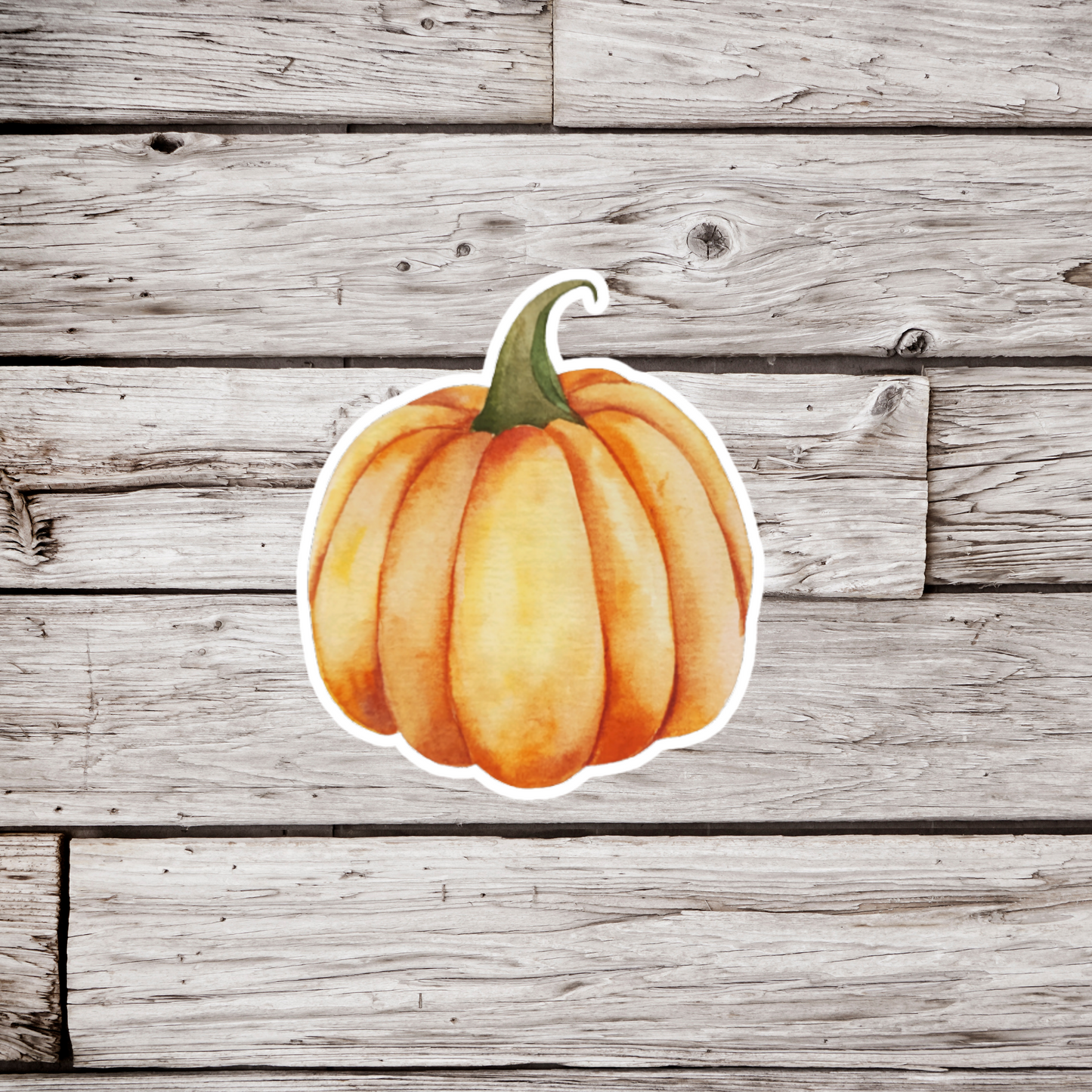 Pumpkin Sticker