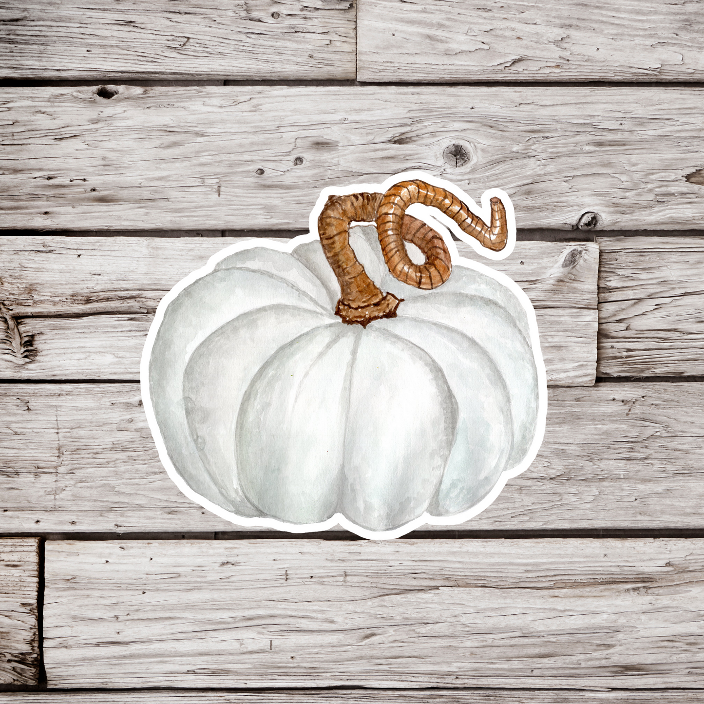 White Pumpkin Sticker