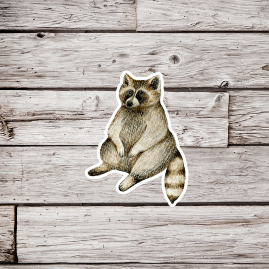 Raccoon Sticker