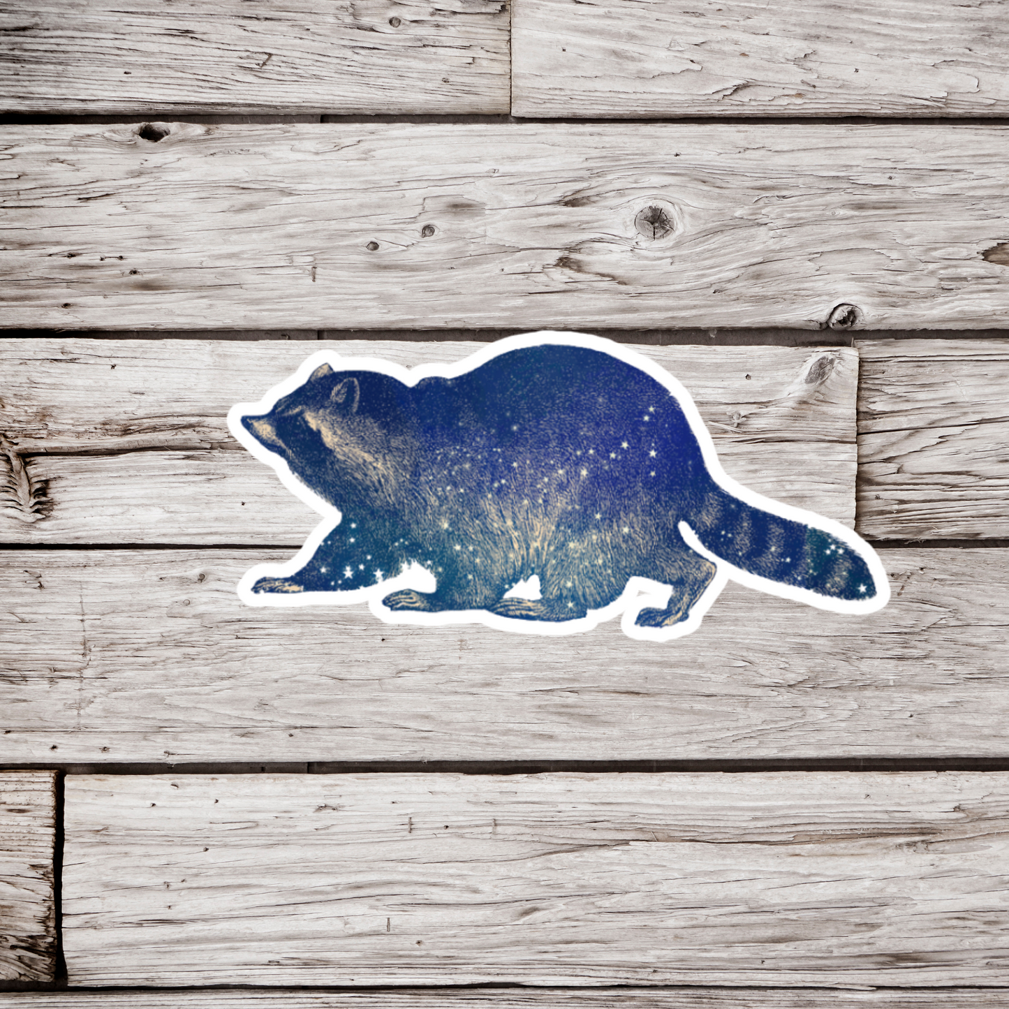 Celestial Raccoon Sticker