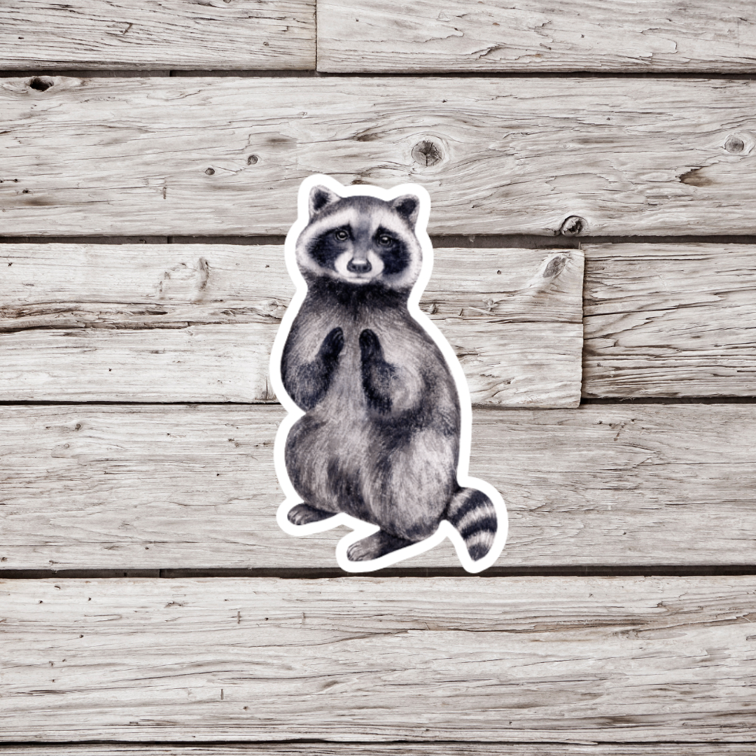 Raccoon Sticker