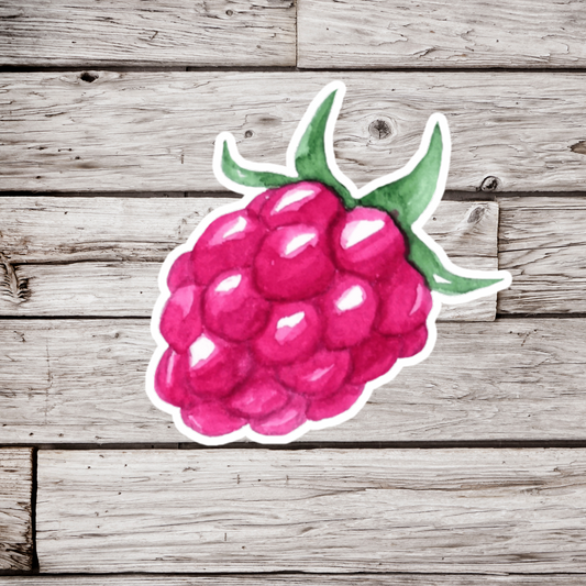 Raspberry Sticker