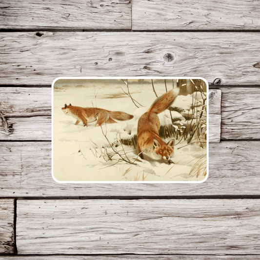 Red Fox Sticker