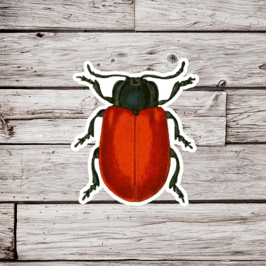 Red Poplar Leaf Beetle Sticker or Magnet