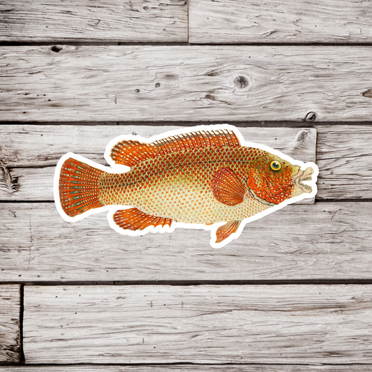 Red Spotted Perch Sticker