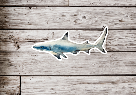 Reef Shark Sticker