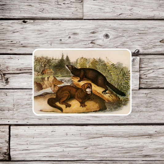 River Otter Sticker