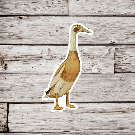 Runner Duck Sticker