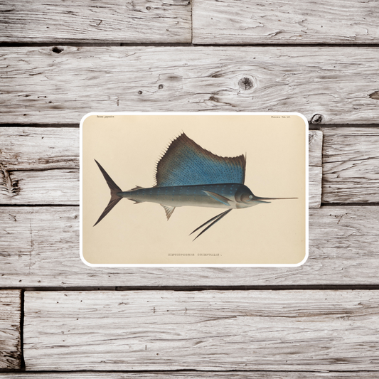 Sailfish Sticker