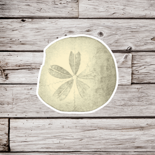 Sand Dollar Sticker