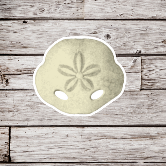 Sand Dollar Sticker