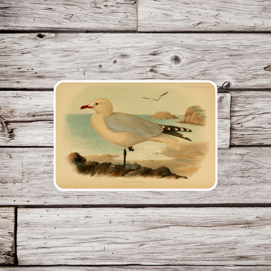 Seagull Sticker