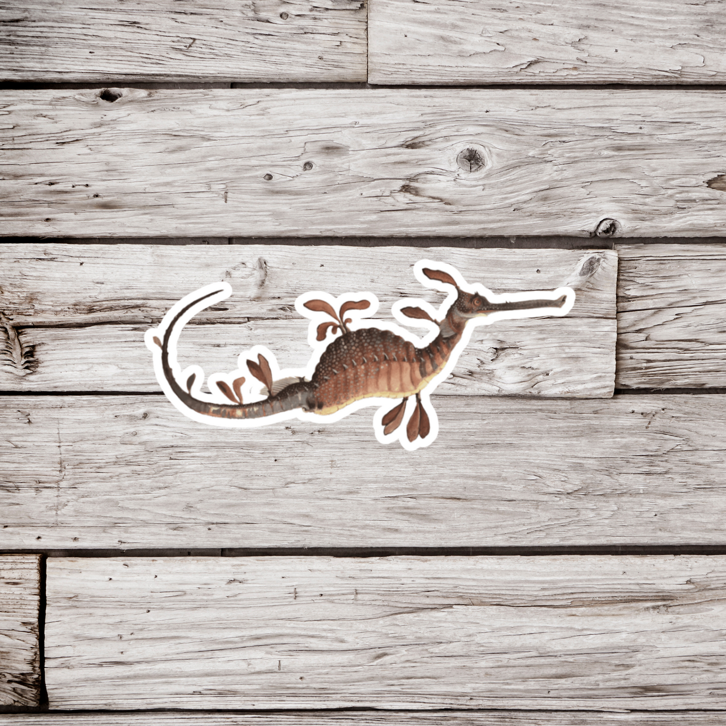 Seahorse Sticker