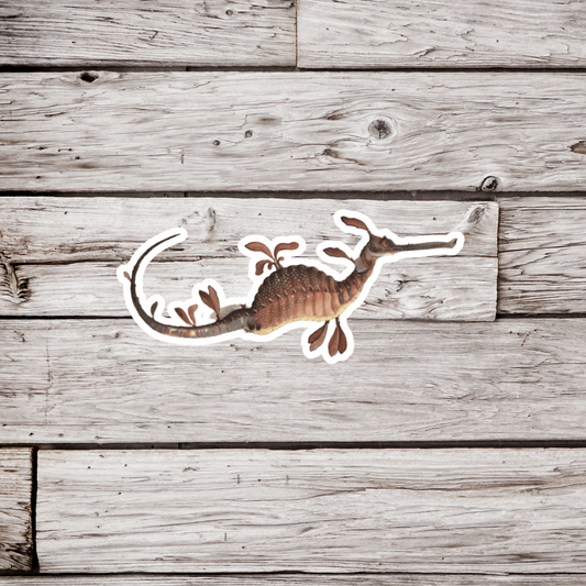 Seahorse Sticker