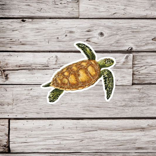 Sea Turtle Sticker