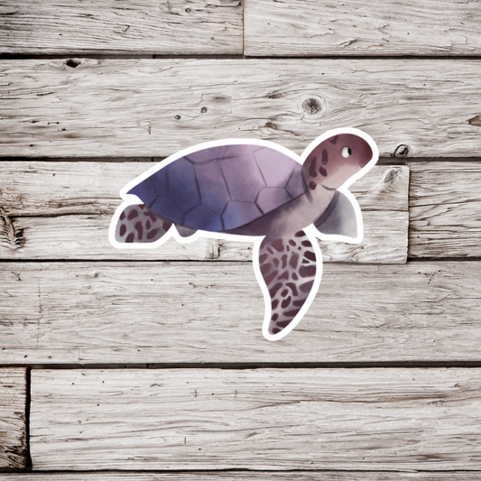 Sea Turtle Sticker