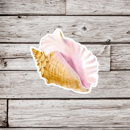 Conch Shell Sticker