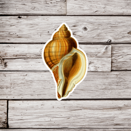 Shell Sticker