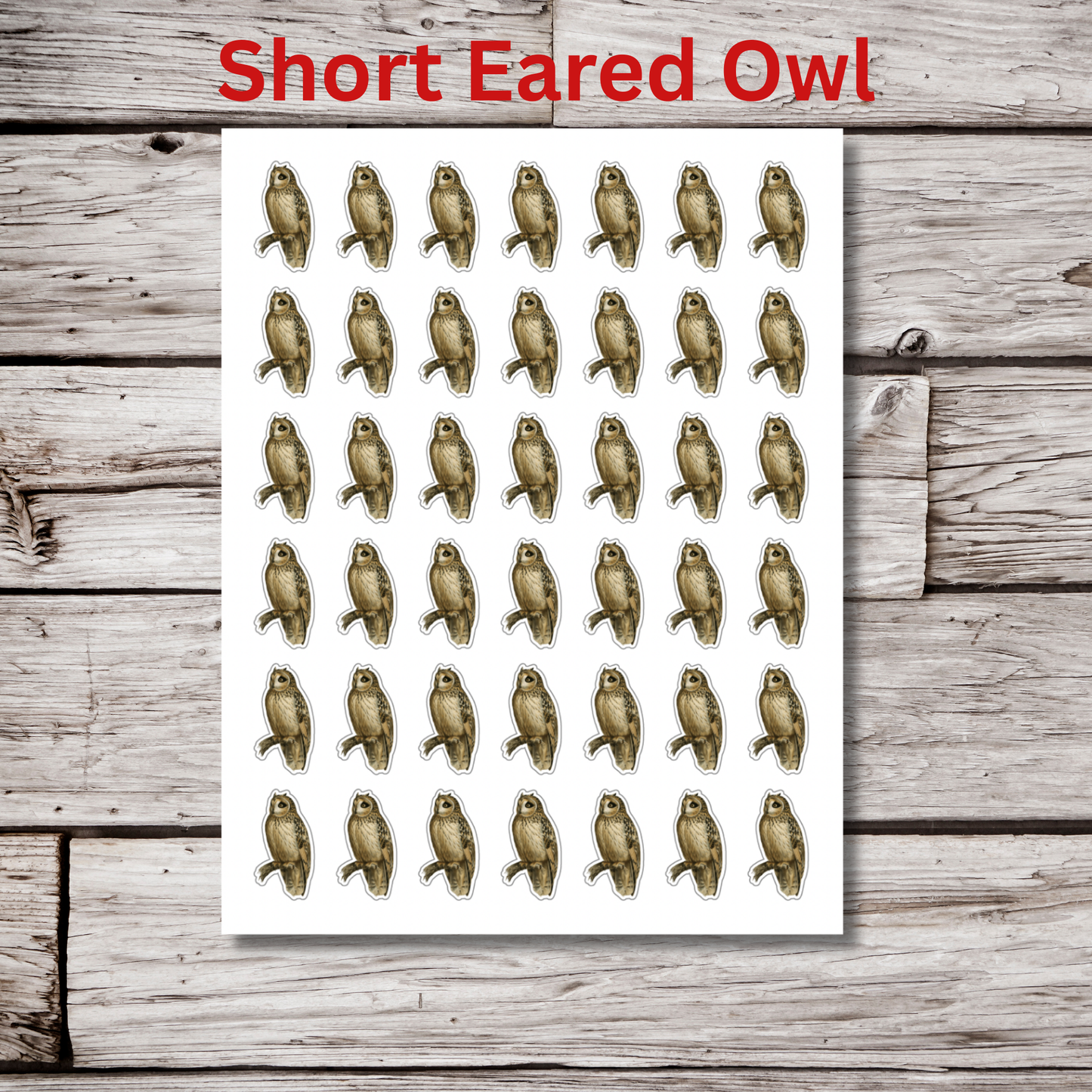 Owl Sticker Sheet