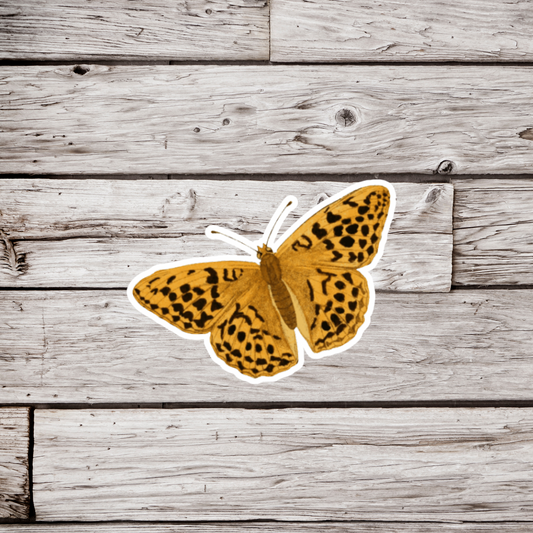 Silver Washed Fritillary Butterfly Sticker or Magnet