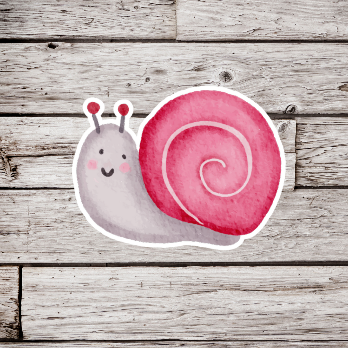 Snail Sticker