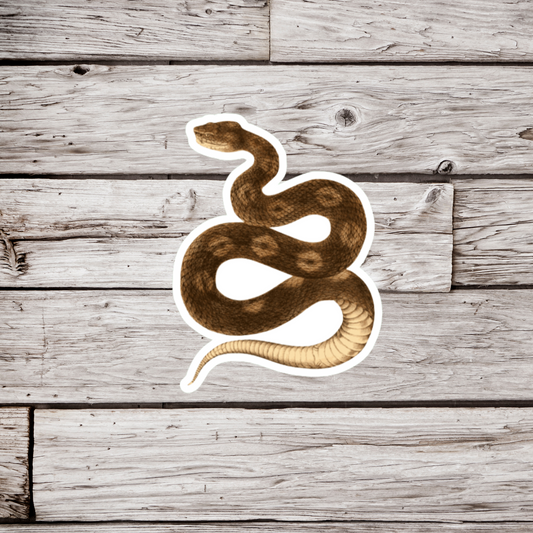 Brown Snake Sticker or Magnet