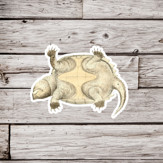 Snapping Turtle Bottom Sticker or Magnet