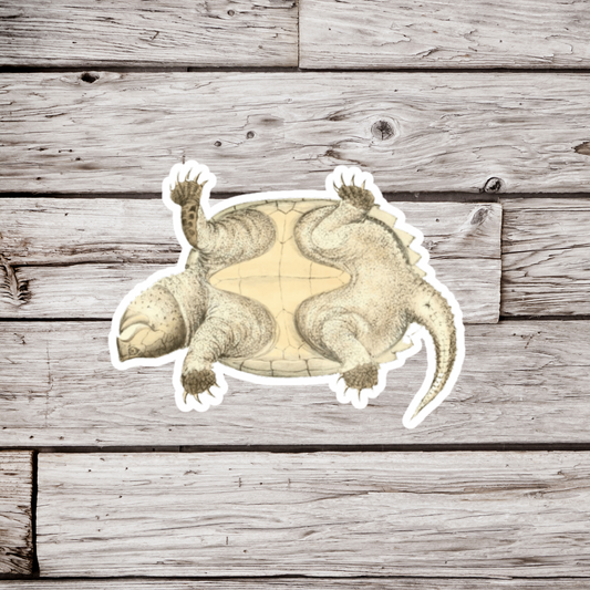 Snapping Turtle Bottom Sticker