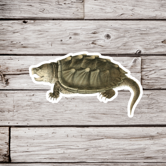 Snapping Turtle Sticker or Magnet