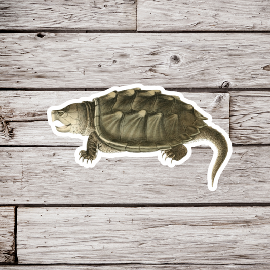 Snapping Turtle Sticker