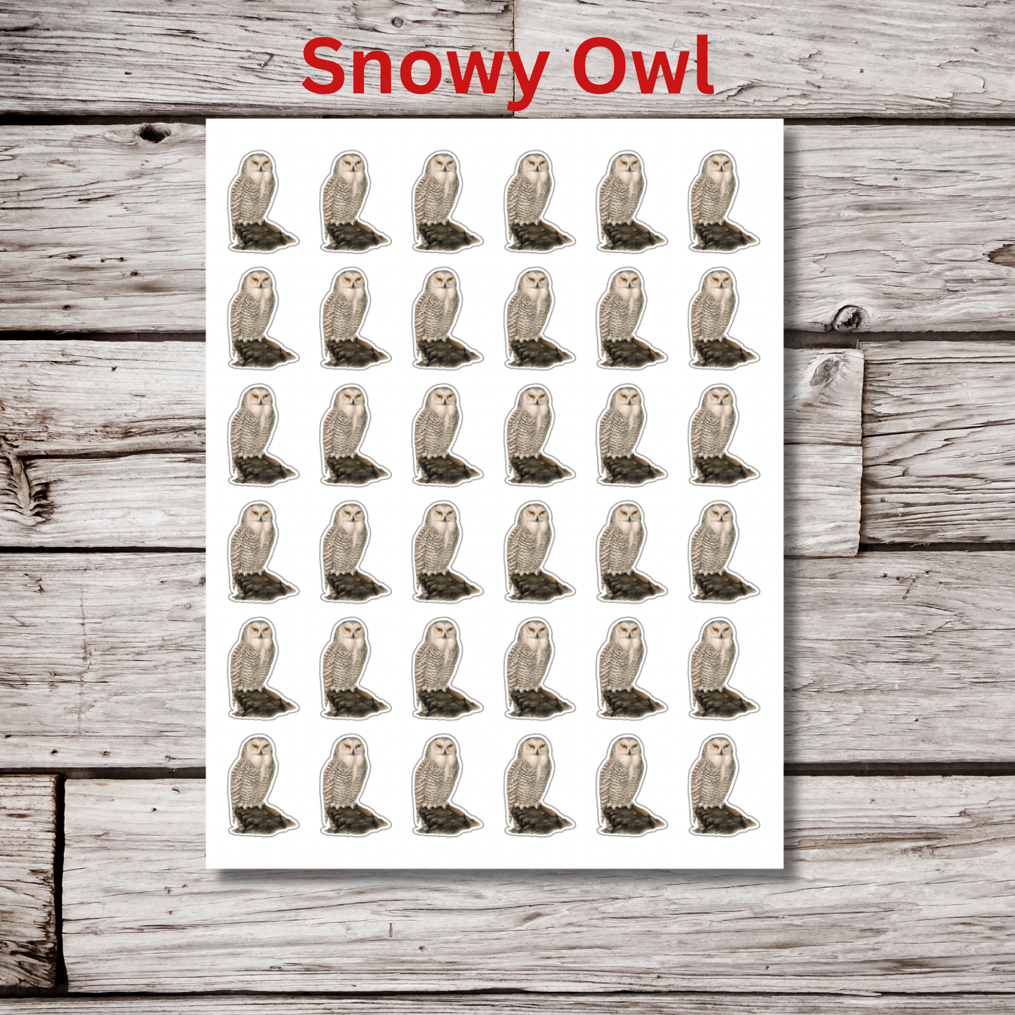 Owl Sticker Sheet
