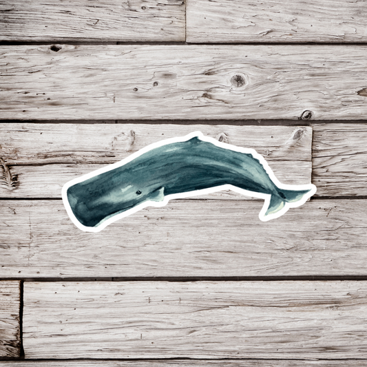 Sperm Whale Sticker