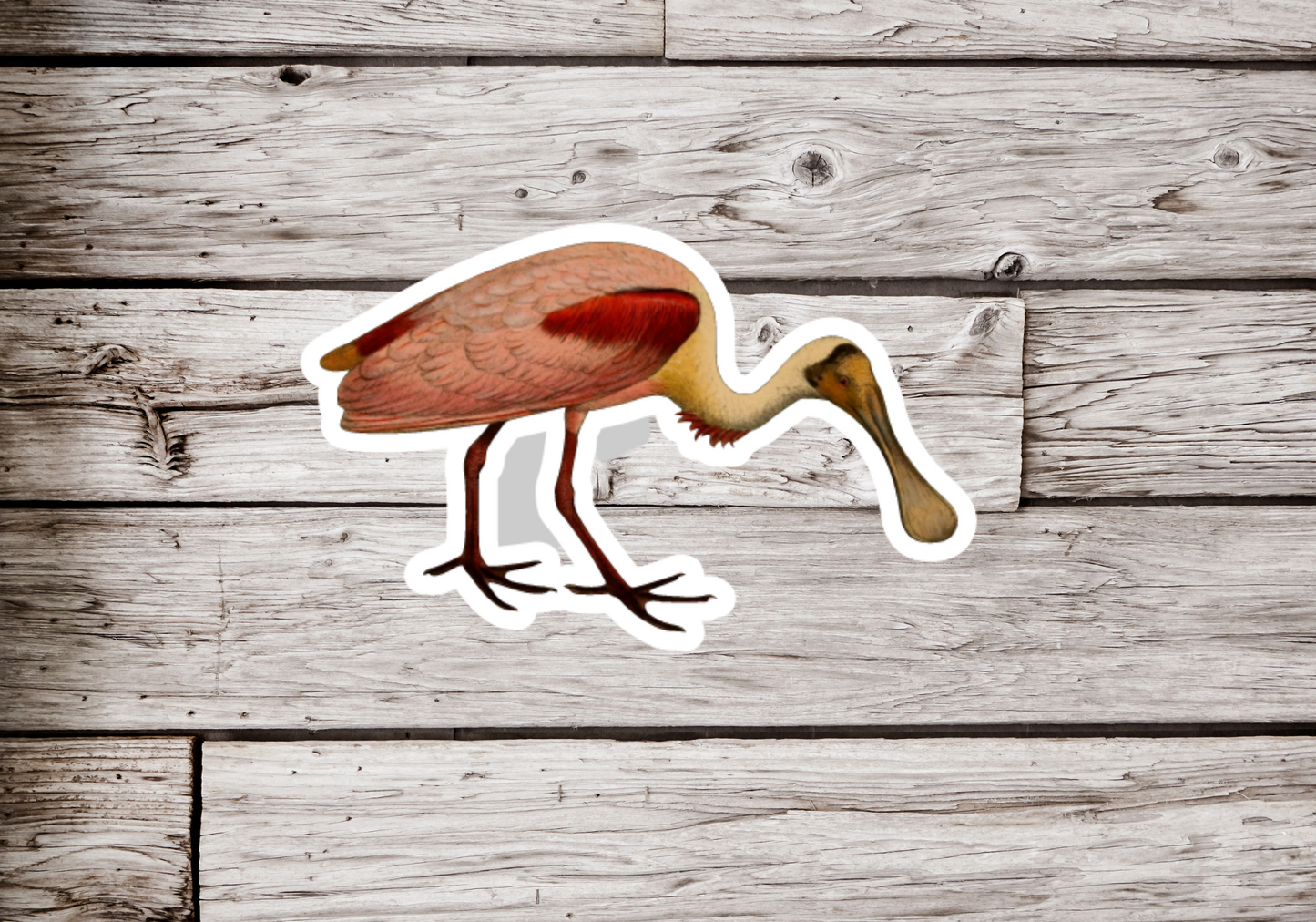 Roseate Spoonbill Sticker