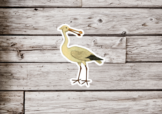 Spoonbill Sticker