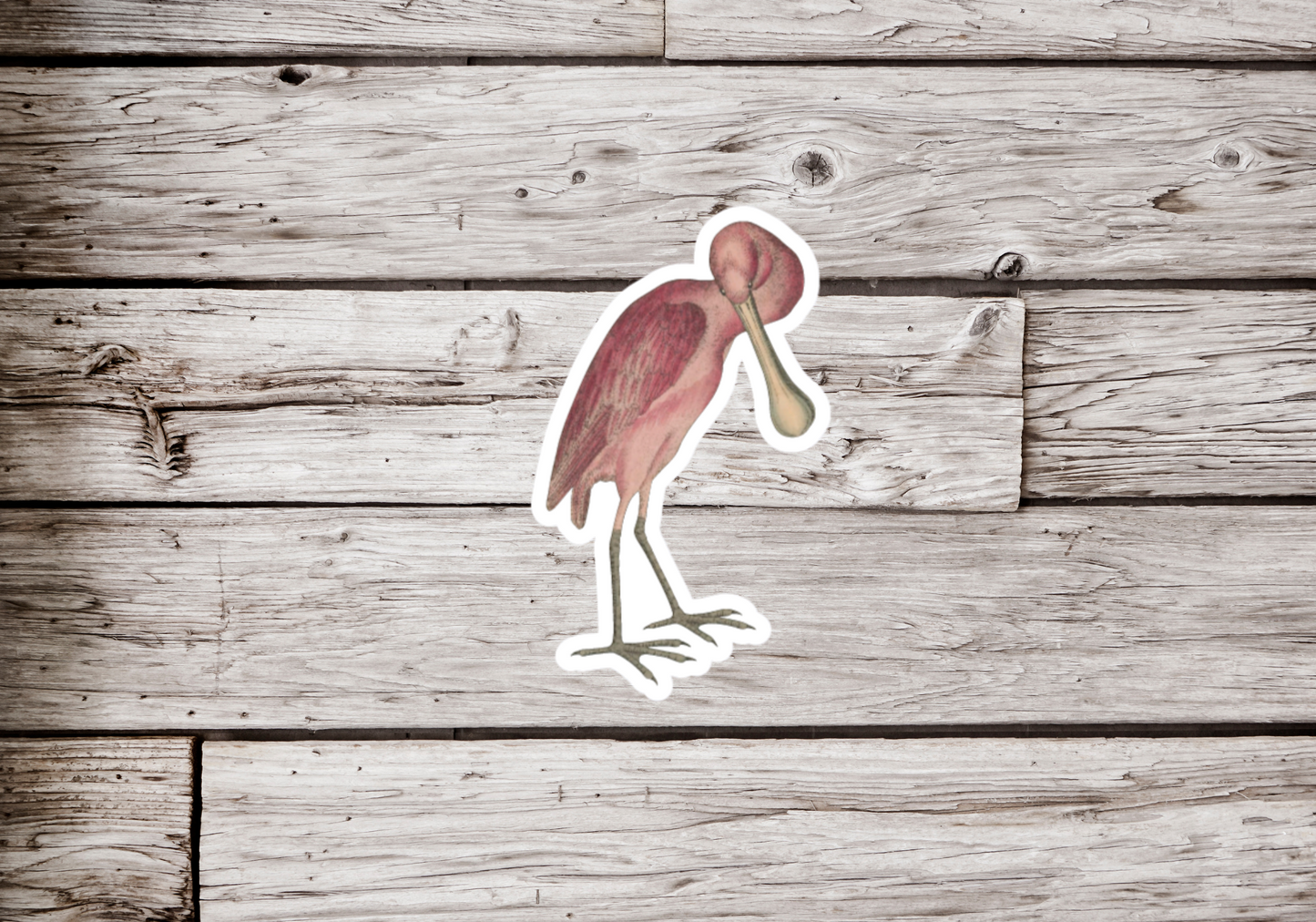 Roseate Spoonbill Sticker