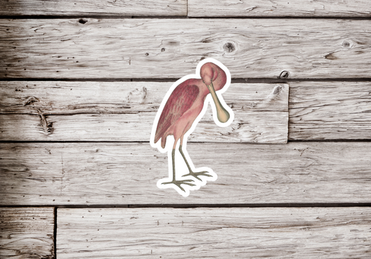 Roseate Spoonbill Sticker or Magnet