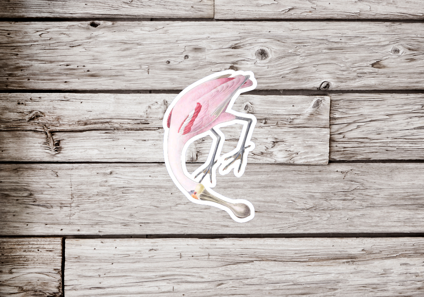 Roseate Spoonbill Sticker