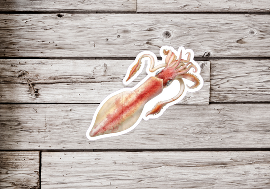 Squid Sticker