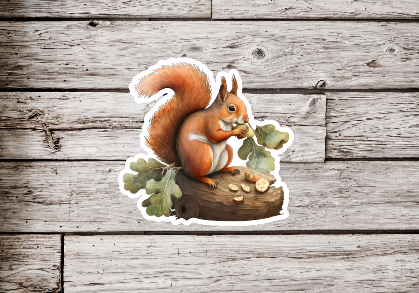 Squirrel Sticker