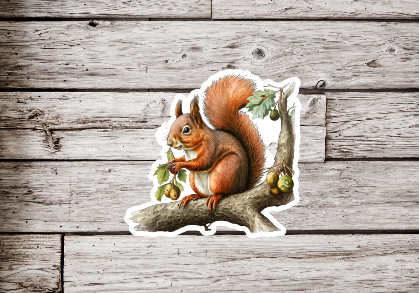 Squirrel Sticker