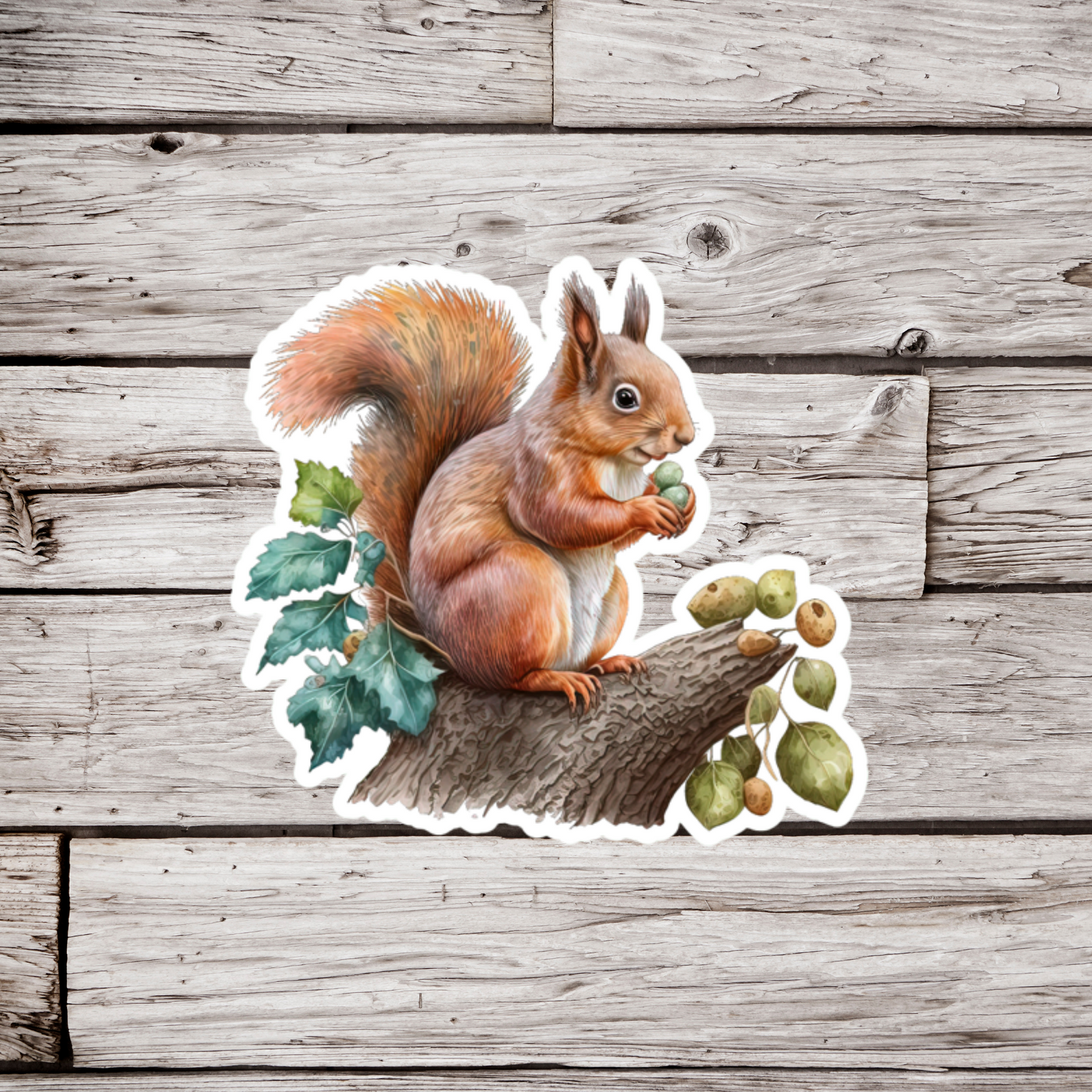 Squirrel Sticker