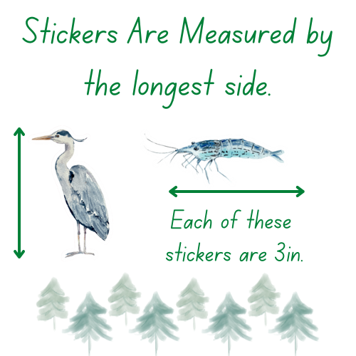 Bullhead Sticker Bullhead Sticker – NatureCuts